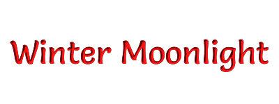 Winter moonlight banner
